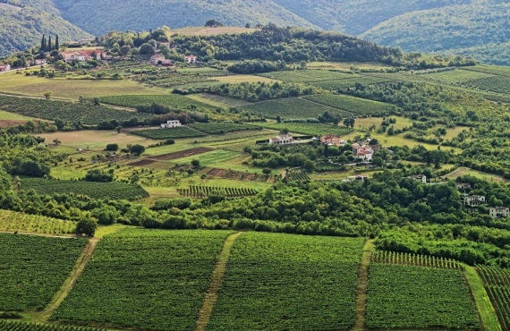 Pazin - Butoniga - Motovun