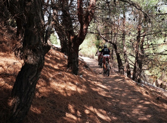 Rab Island coastal trails