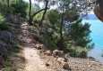 Lošinj Island