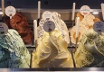 Gelato