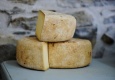 Cheese tastings