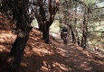 Rab Island coastal trails